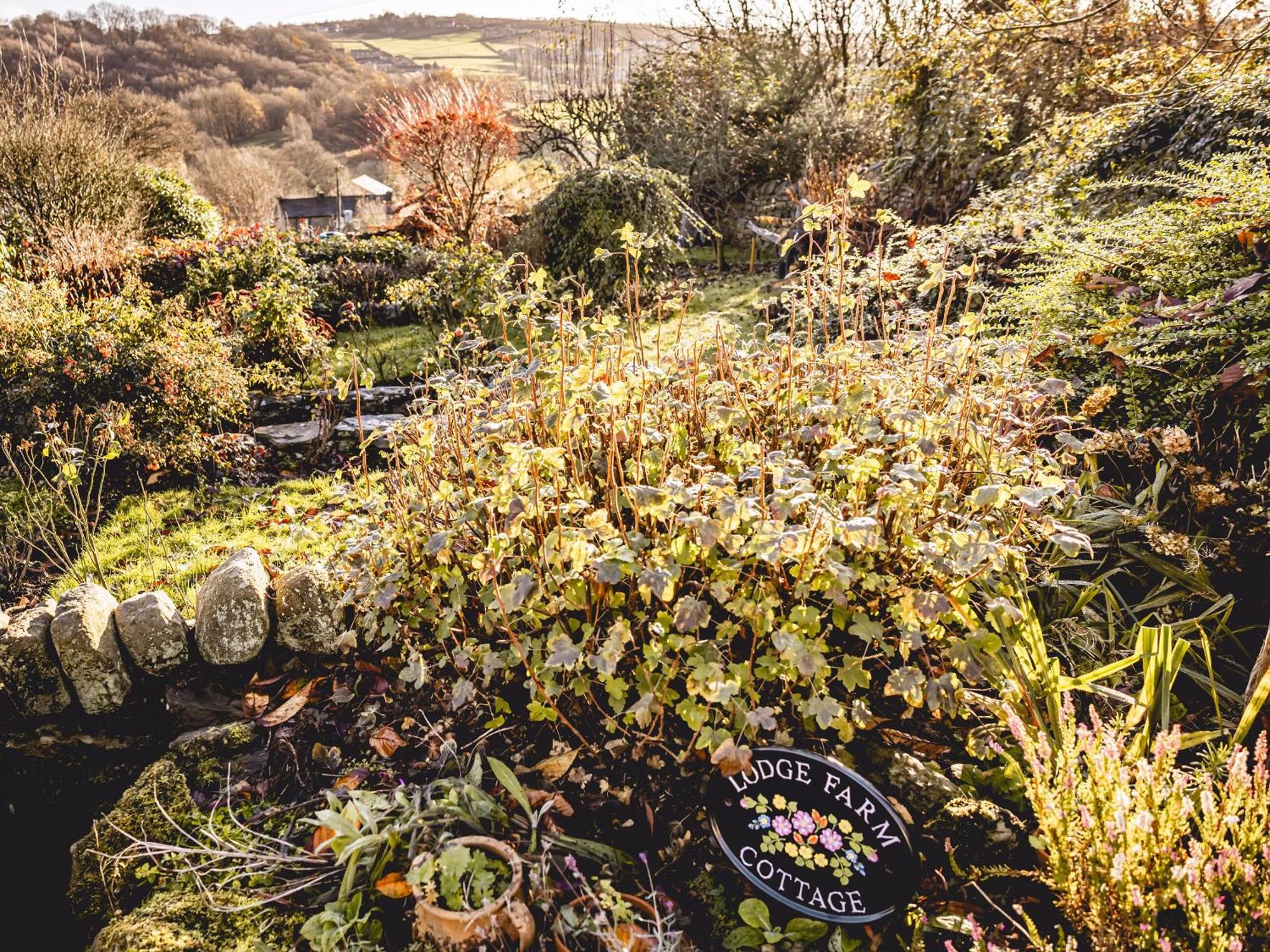 Lodge Farm Cottage ハワース エクステリア 写真